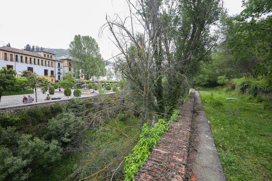 Alhambra y Ayuntamiento de Granada trabajan en un proyecto para recuperar el entorno en el horizonte de 2020