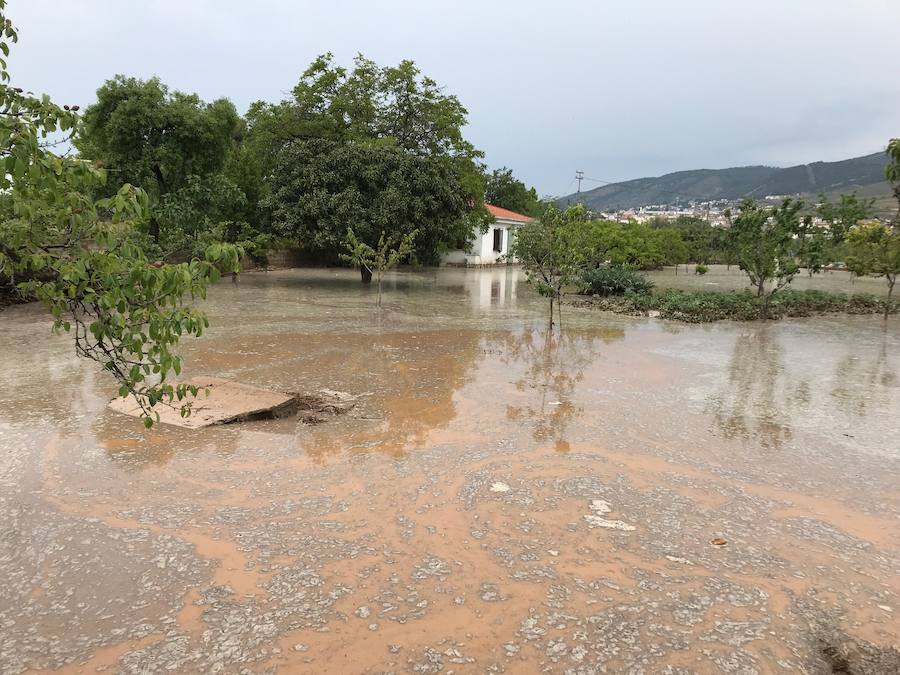 La Rambla de los Alcarceles se anegó y también el Camino de los Molinos, que fue cortado al tráfico para evitar problemas con el paso de los vehículos