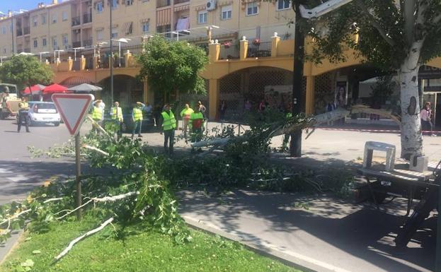 Parte de un árbol cae sobre la catenaria del metro en la Avenida Juan Pablo II