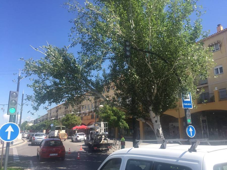 El metropolitano ha seguido circulando, pero la Policía Local ha cortado este tramo de la vía para demás vehículos