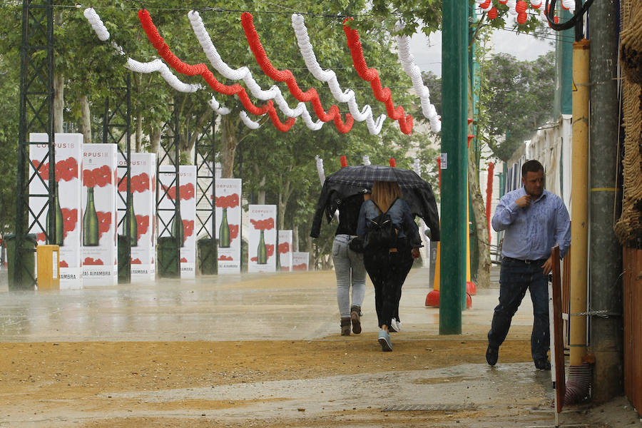 A pesar de que en esta zona de Granada no ha llovido con intensidad, el ambiente no ha sido el más propicio 