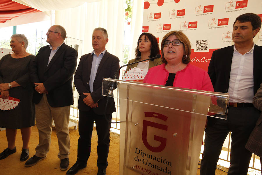 La diputada provincial de Desarrollo Sostenible y Empleo, Ana Muñoz, ha inaugurado el espacio destinado a la plataforma en la caseta de Diputación en la Feria del Corpus 2018. Más fotos de Corpus,  en este enlace