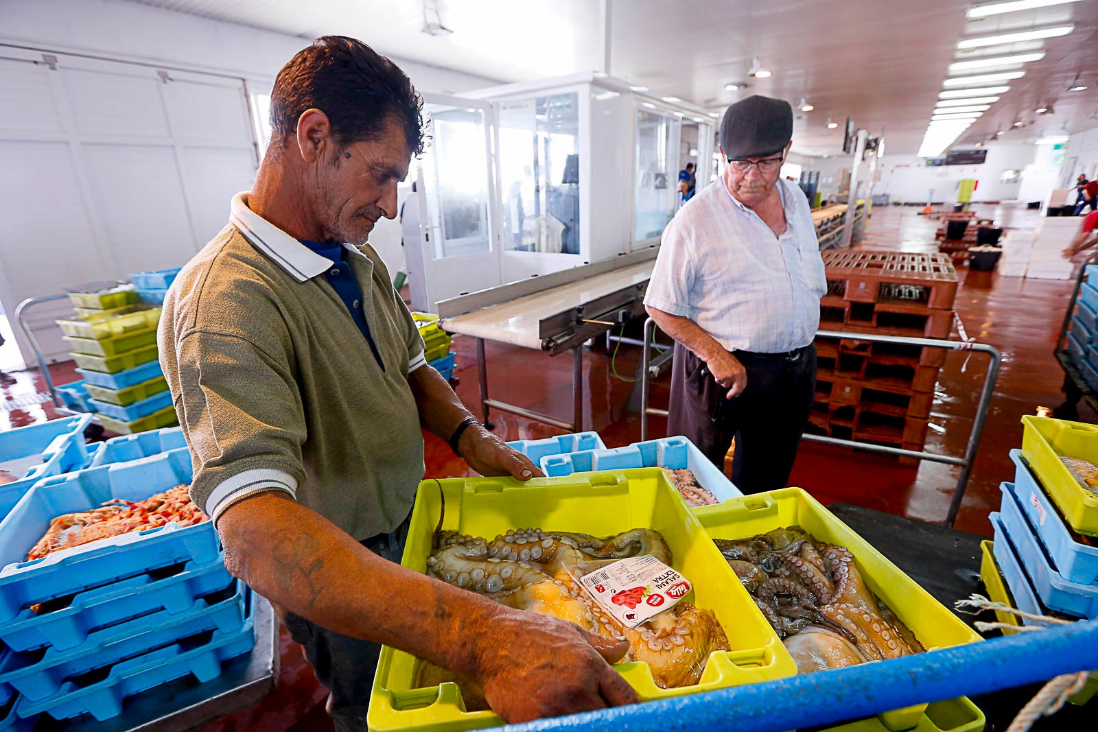 Los pescadores de arrastre podrán salir menos días a faenar y les será menos rentable ir a por esta cotizada especie, cuya pesca es compleja