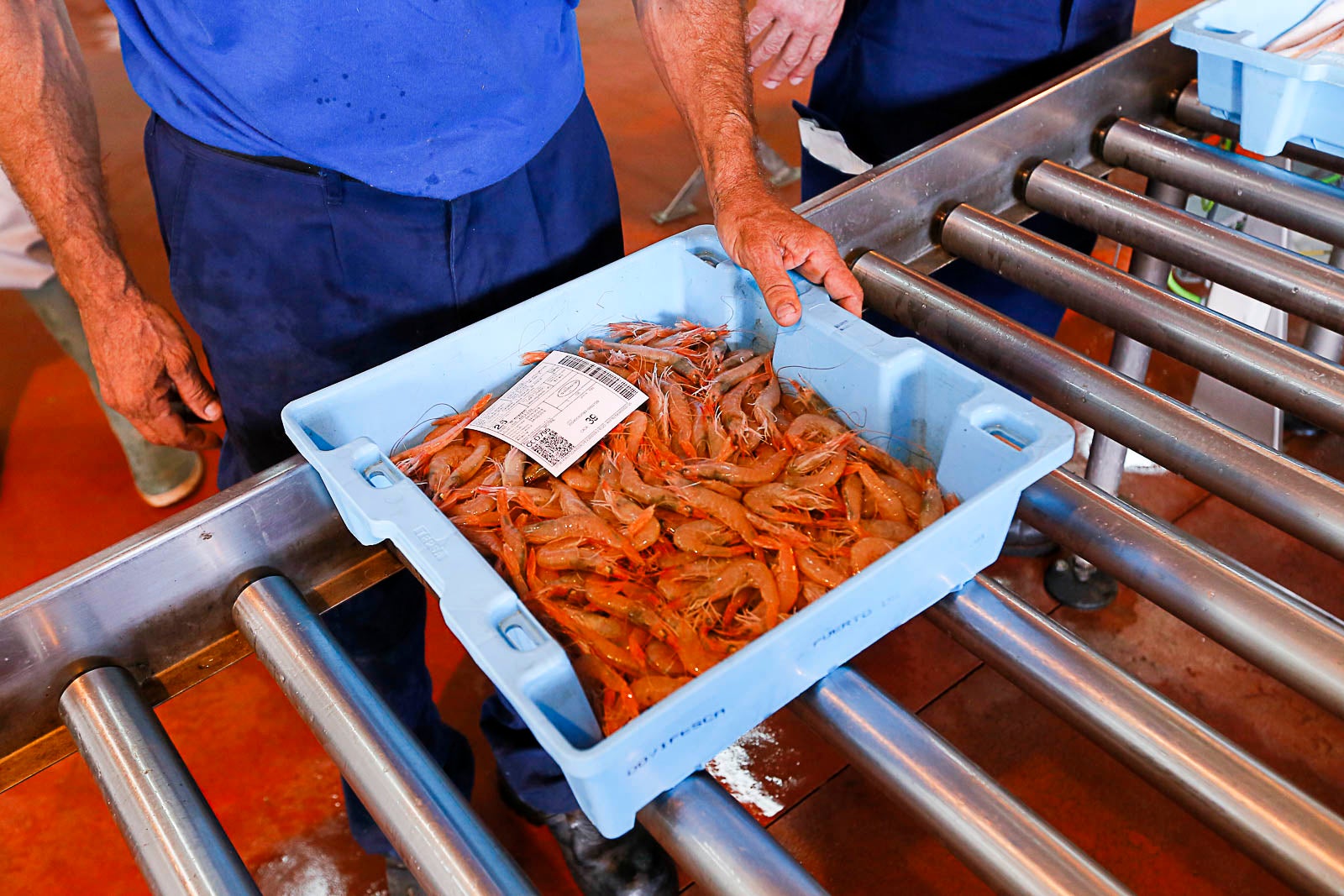 Los pescadores de arrastre podrán salir menos días a faenar y les será menos rentable ir a por esta cotizada especie, cuya pesca es compleja