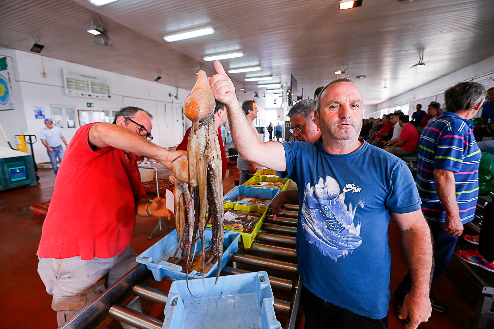 Los pescadores de arrastre podrán salir menos días a faenar y les será menos rentable ir a por esta cotizada especie, cuya pesca es compleja