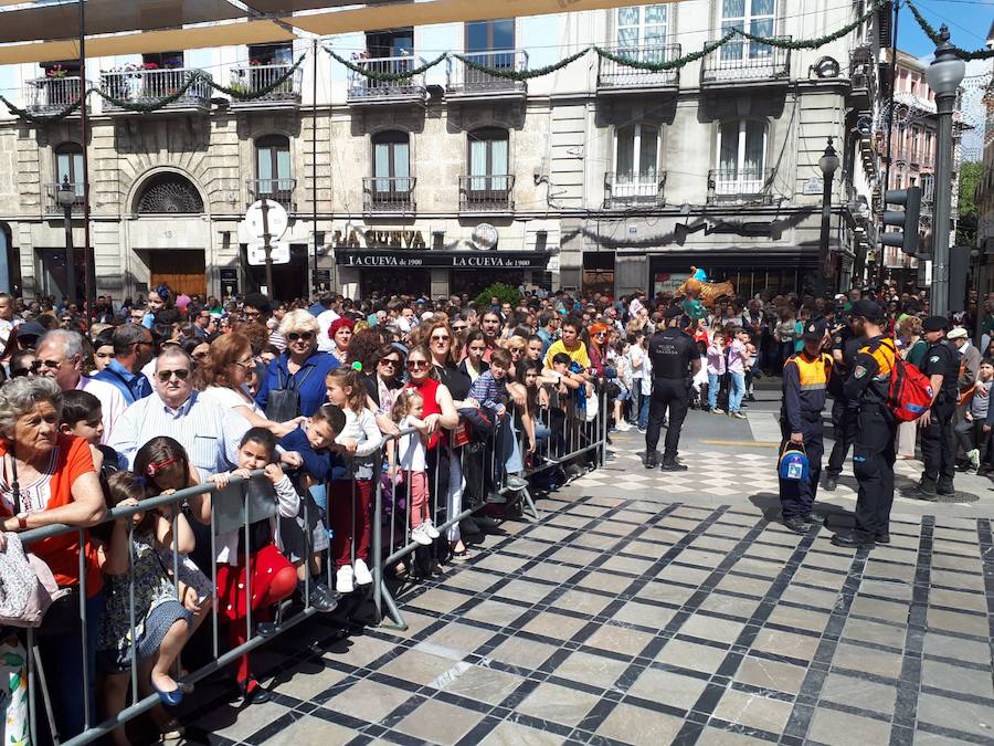 Miles de granadinos y foráneos se han acercado hasta la plaza del Carmen para acompañar a La Tarasca en su desfile por le centro de la ciudad. Puede ver más fotos del Corpus en  este enlace . 