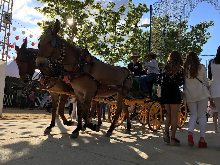 Este miércoles ha sido la jornada en la que más gente se animaba a visitar el Real de la Feria. Muchos trajes de flamenca, peinetas y flores pintaban de color la zona de casetas. En  este enlace puedes ver las mejores imágenes  de este Corpus 2018