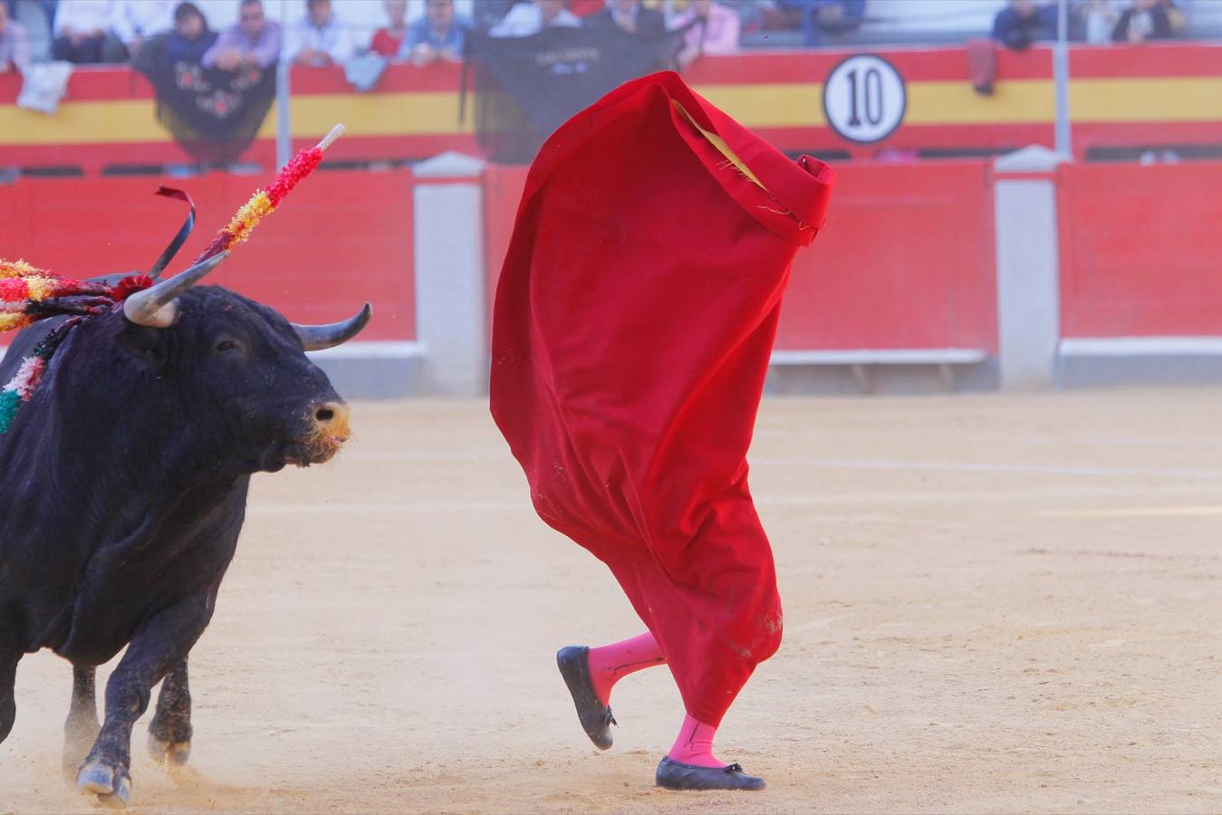 El diestro peruano Joaquín Galdós protagonizó la primera salida a hombros del serial, merced a una entregadísima actuación, en una tarde en la que Álvaro Lorenzo también rayó a buen nivel, pero perdiendo el triunfo por su mala espada. Puedes ver todas las imágenes de este Corpus pinchando en el  siguiente enlace .