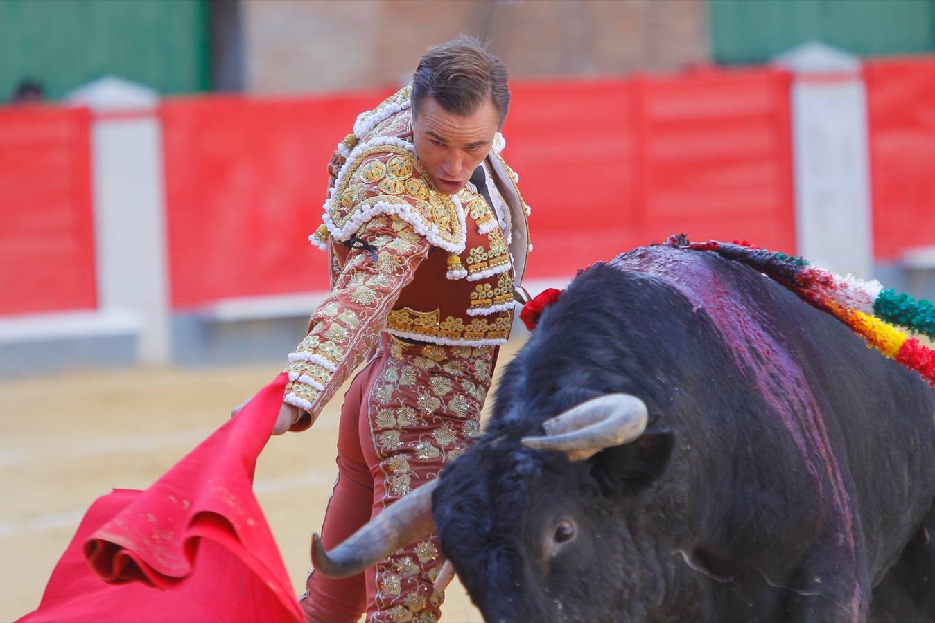 El diestro peruano Joaquín Galdós protagonizó la primera salida a hombros del serial, merced a una entregadísima actuación, en una tarde en la que Álvaro Lorenzo también rayó a buen nivel, pero perdiendo el triunfo por su mala espada. Puedes ver todas las imágenes de este Corpus pinchando en el  siguiente enlace .