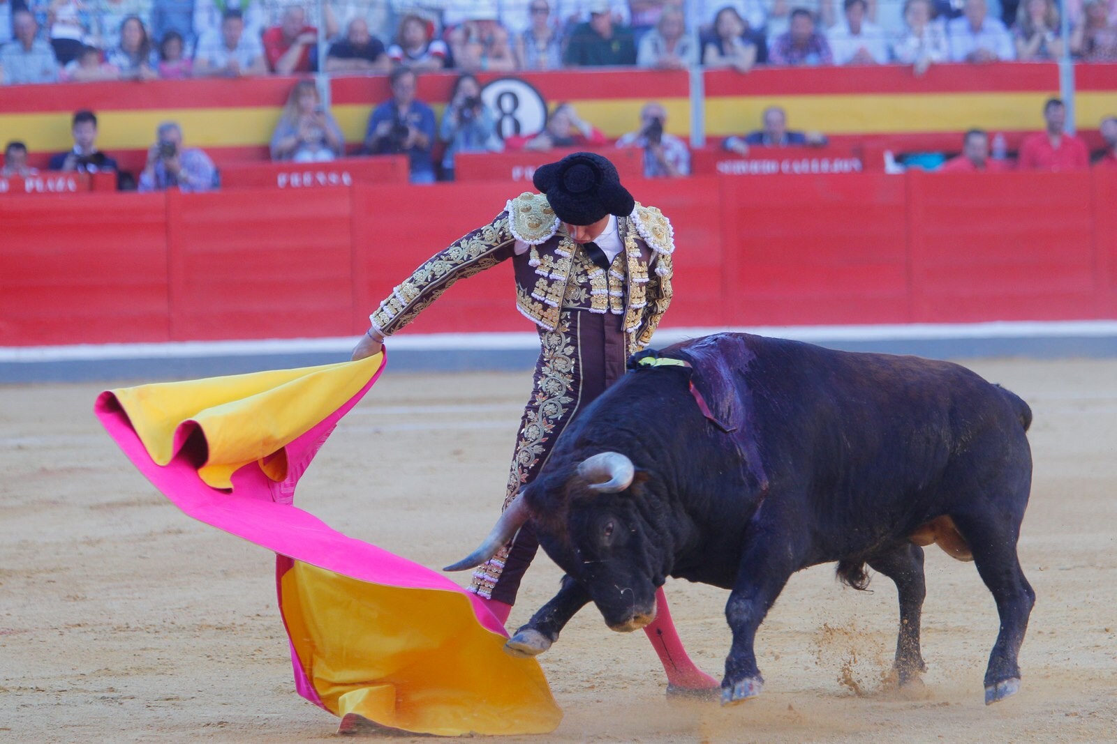 Las mejores imágenes de la corrida del viernes. Para ver el resto de las fotografías del Corpus puedes hacerlo en  este enlace