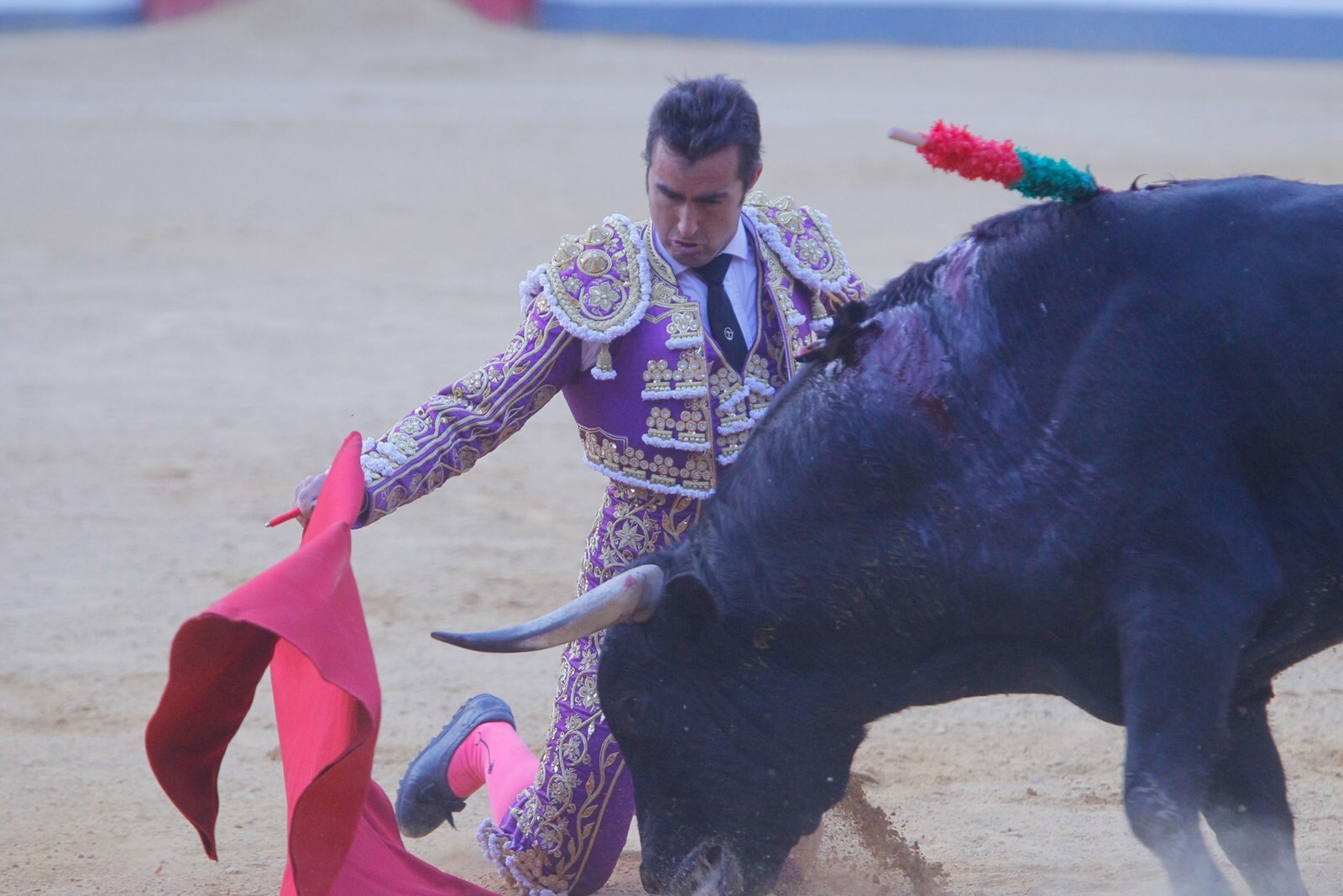 Las mejores imágenes de la corrida del viernes. Para ver el resto de las fotografías del Corpus puedes hacerlo en  este enlace