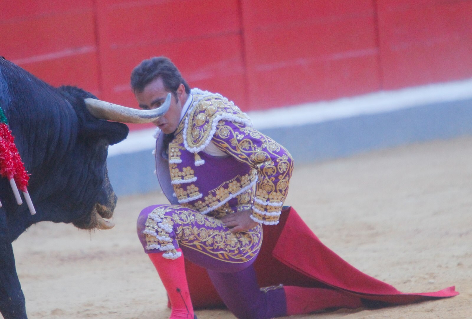 Las mejores imágenes de la corrida del viernes. Para ver el resto de las fotografías del Corpus puedes hacerlo en  este enlace