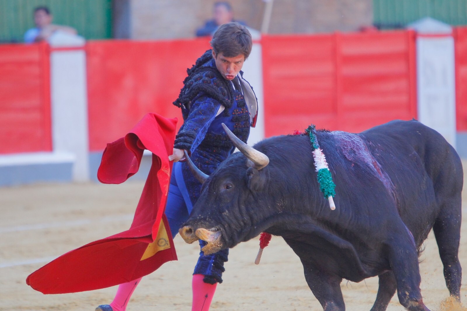 Las mejores imágenes de la corrida del viernes. Para ver el resto de las fotografías del Corpus puedes hacerlo en  este enlace