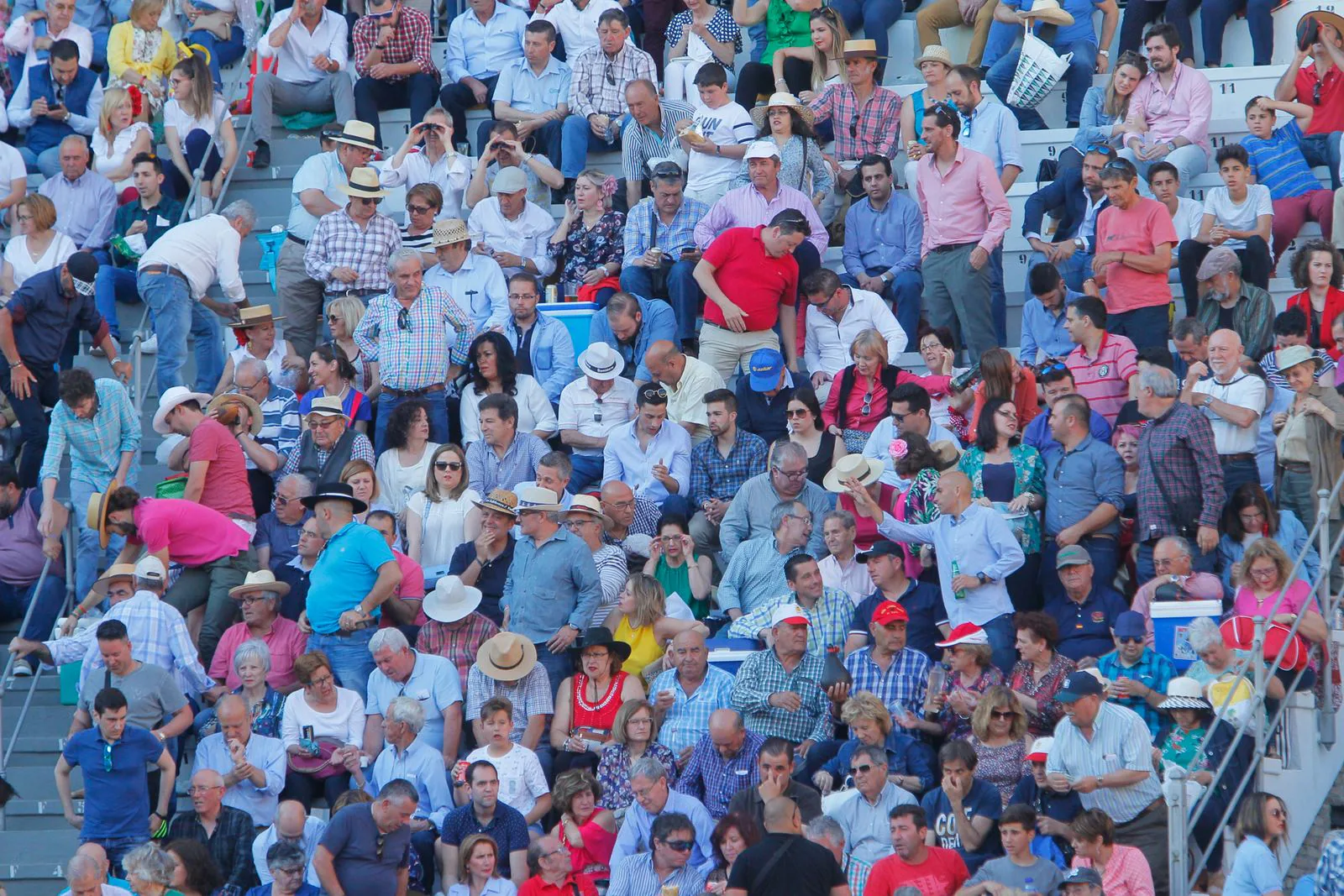 Las mejores imágenes de la corrida del viernes. Para ver el resto de las fotografías del Corpus puedes hacerlo en  este enlace