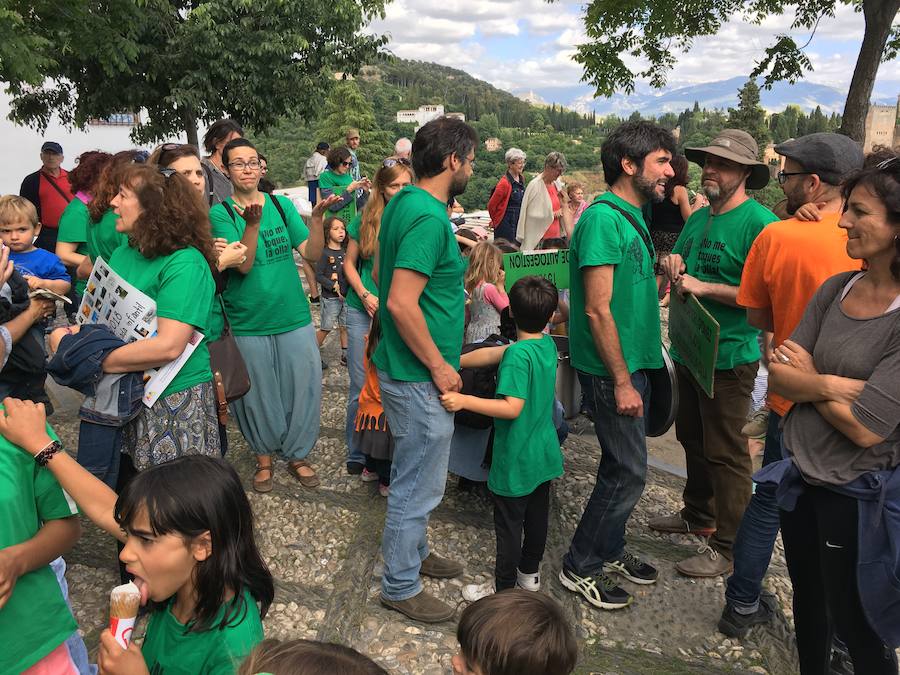 La Asociación de Madres y Padres del colegio Gómez Moreno se ha concentrado en el mirador de San Nicolás para reivindicar que el comedor siga siendo autogestionado