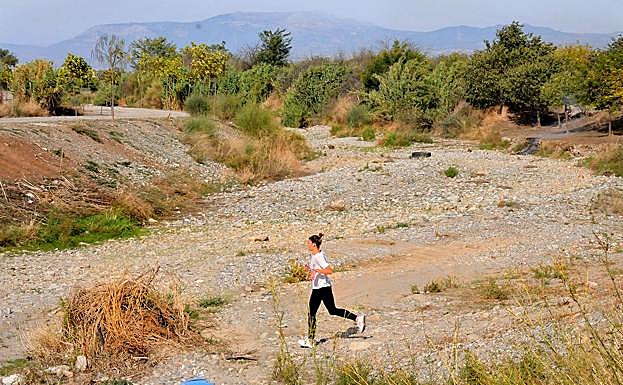 Cauce seco del río Dílar en Granada, un ejemplo de río intermitente en algunos de sus tramos.