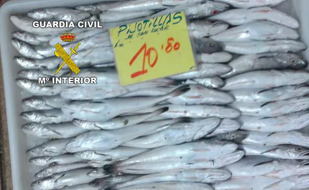 La Guardia Civil interviene 100 kilos de pescado inmaduro en Jaén