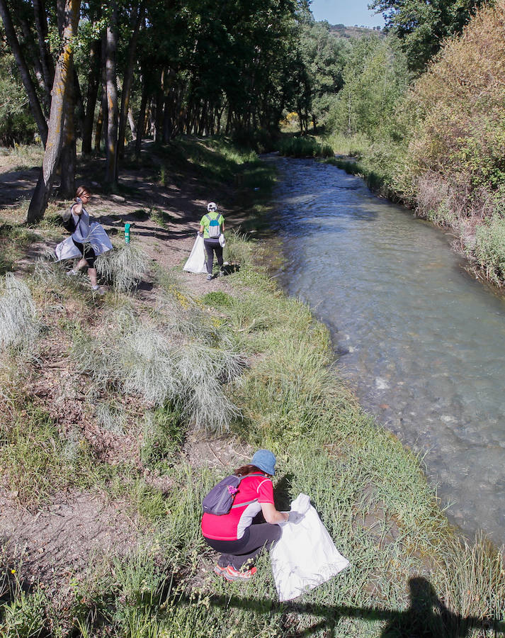 Ayer se desarrolló una batida de limpieza por la ribera del Genil a su paso por Cenes, actividad enmarcada en el Proyecto Libera