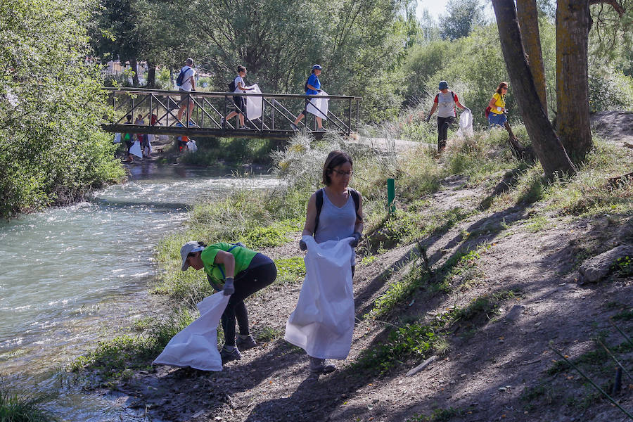 Ayer se desarrolló una batida de limpieza por la ribera del Genil a su paso por Cenes, actividad enmarcada en el Proyecto Libera