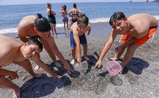 Un grupo de chavales después de cazar una medusa en las playas sexitanas. 
