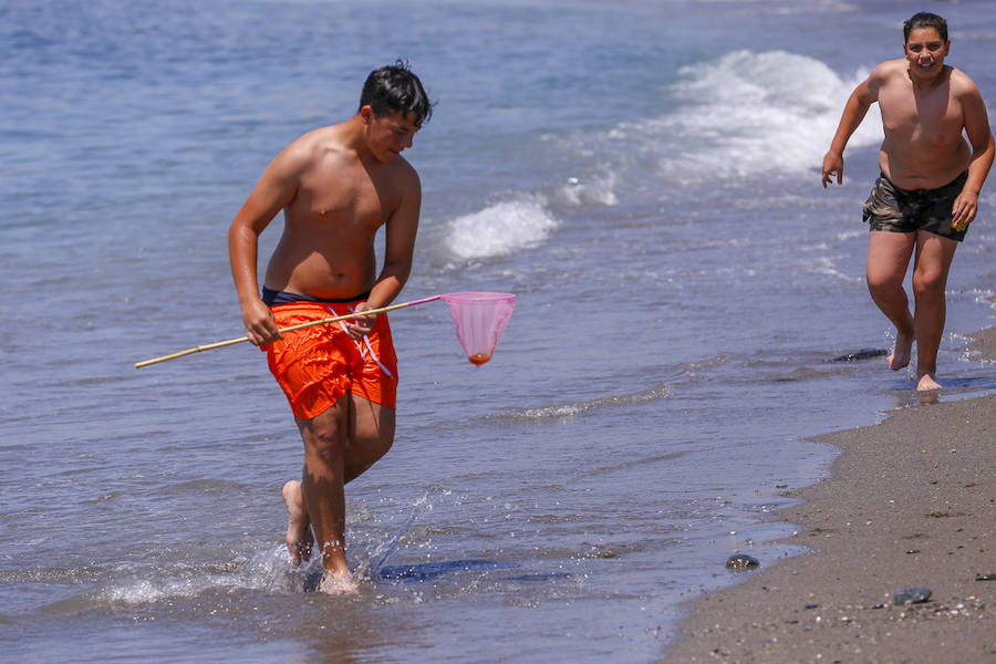 La Costa granadina se llena de 'cazadores' de medusas que ayudan a aliviar la orilla