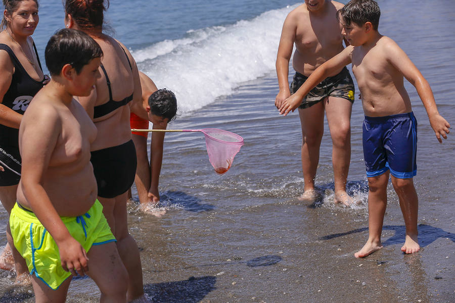 La Costa granadina se llena de 'cazadores' de medusas que ayudan a aliviar la orilla