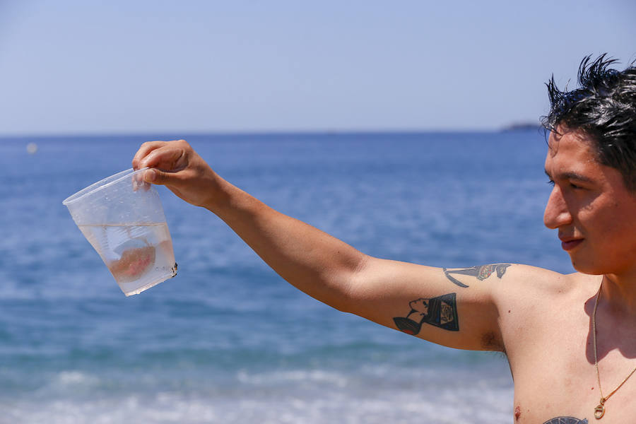 La Costa granadina se llena de 'cazadores' de medusas que ayudan a aliviar la orilla