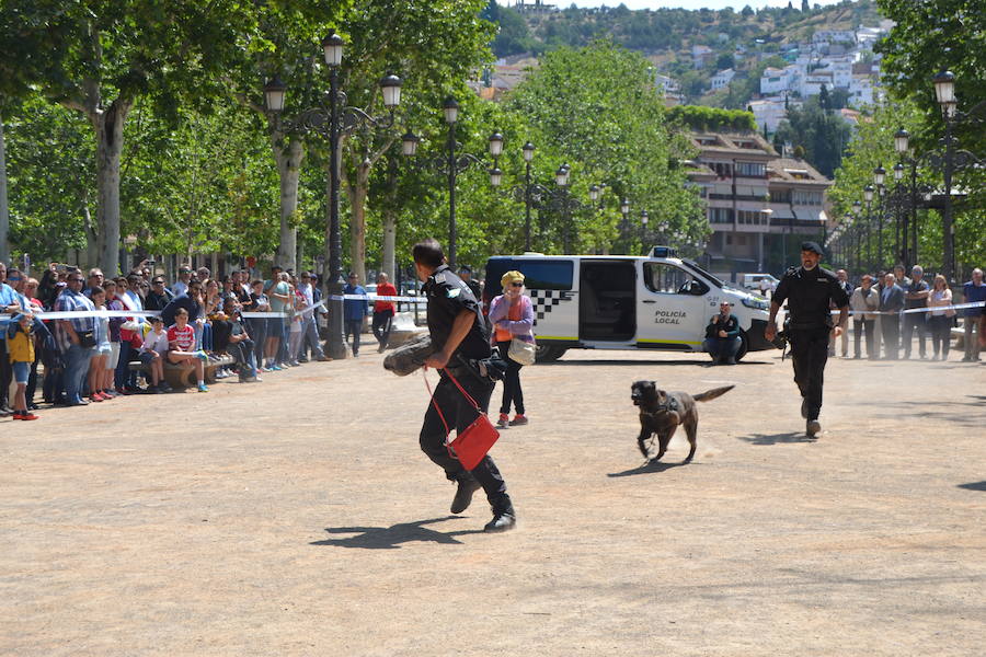 La Escudería 49.9 ofrecía a los aficionados del mundo de motor unas horas de disfrute, en especial a los más pequeños con síndrome de Down o afectados de alguna enfermedad que pudieron viajar por el centro de Granada en moto, sobre todo Harley Davidson o en coches clásicos o de competición