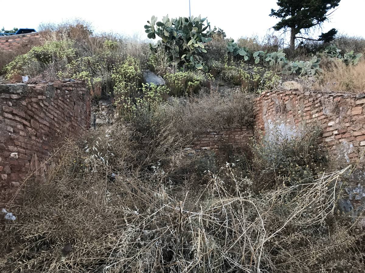 Tres de los nuevos lugares en runas de Granada se sitúan en la calle Perchel Bajo.