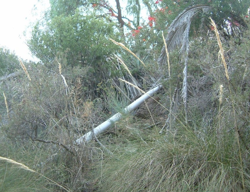 Punto Negro 2 | Monte Almendros: Ecologistas en Acción indica en su informe que este tubo es de "una tubería de aguas residuales que va directamente al barranco" debido a que "los chalés en la N-340 entre Almuñécar y Salobreña siguen sin tener alcantarillado" y cada uno "vierte sus aguas residuales como le parece", apuntan los ecologistas.