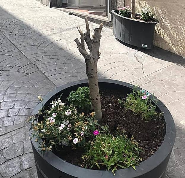 Actos vandálicos en la Guardia de Jaén. 