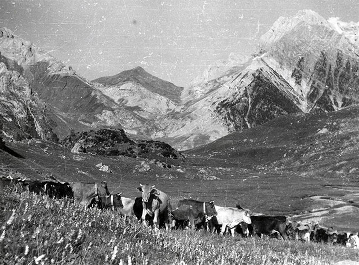 Centenario de los Parques Nacionales. Ordesa