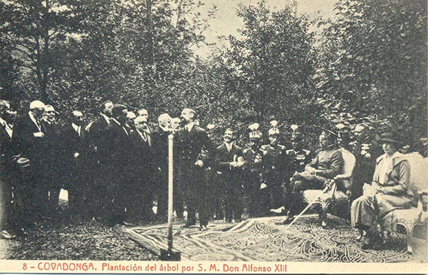 Plantación del árbol por SS.MM. los Reyes D. Alfonso XIII y Dª Victoria Eugenia, el 8 de Septiembre de 1918 en el acto de inauguración del Parque Nacional de la Montaña de Covadonga. Entre los testigos del discurso del Ministro del Ramo, D. Francisco Cambó, se encuentran el Presidente del Consejo de Ministros, D. Antonio Maura y el Comisario de Parques Nacionales, D. Pedro Pidal (de una postal de Fototipia Thomas).