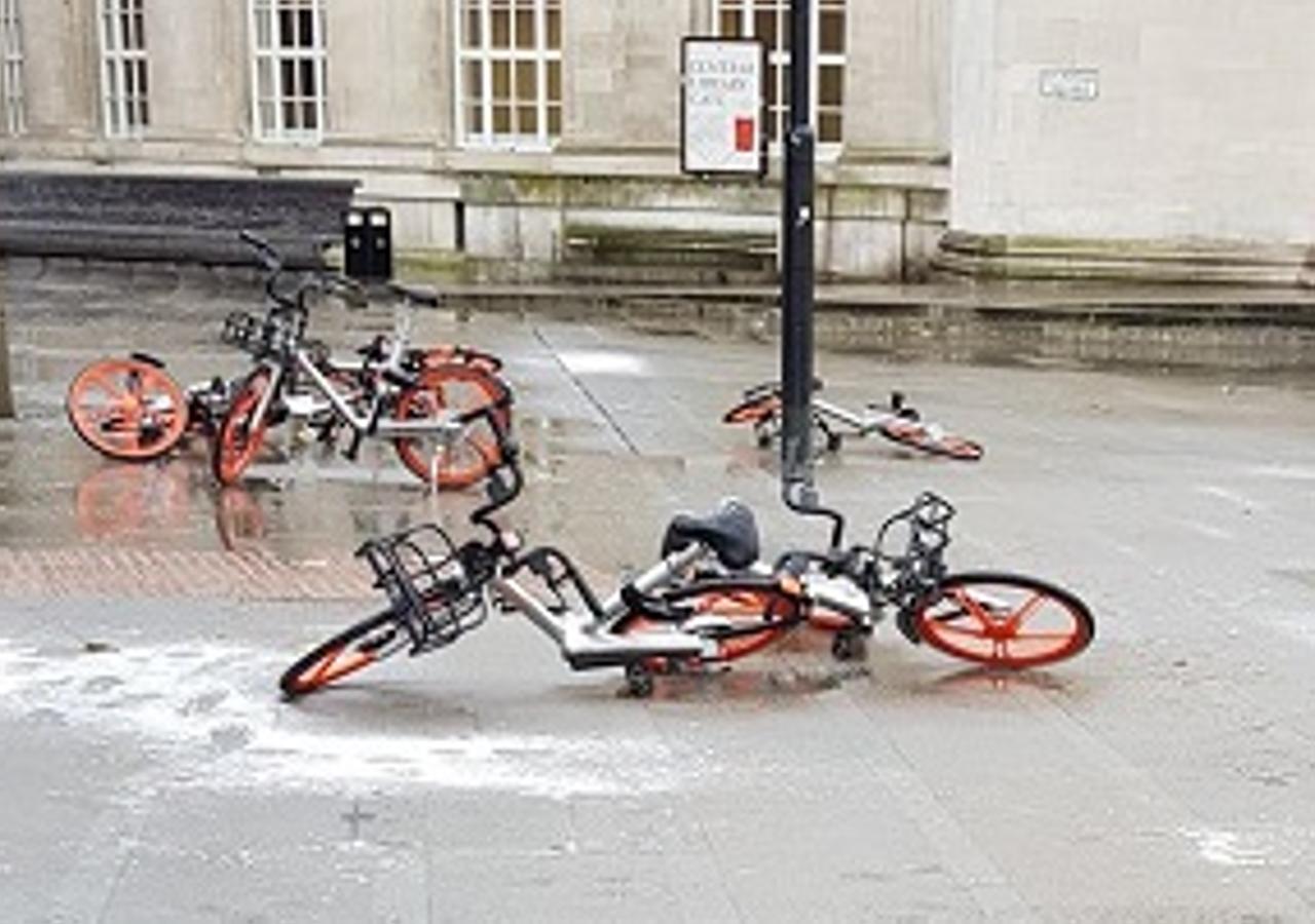 El vandalismo que sufren las bicis de alquiler compartido no es exclusivo de Granada. De Marbella a Madrid, de Florencia a Turín, de Roma a Manchester y en ciudades como Melbourne, estos vehículos de dos ruedas han recalado en basuras, encima de árboles o en el fondo de canales y ríos.