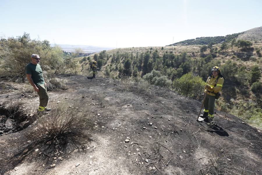 El fuego ha afectado a 3.500 metros de matorral
