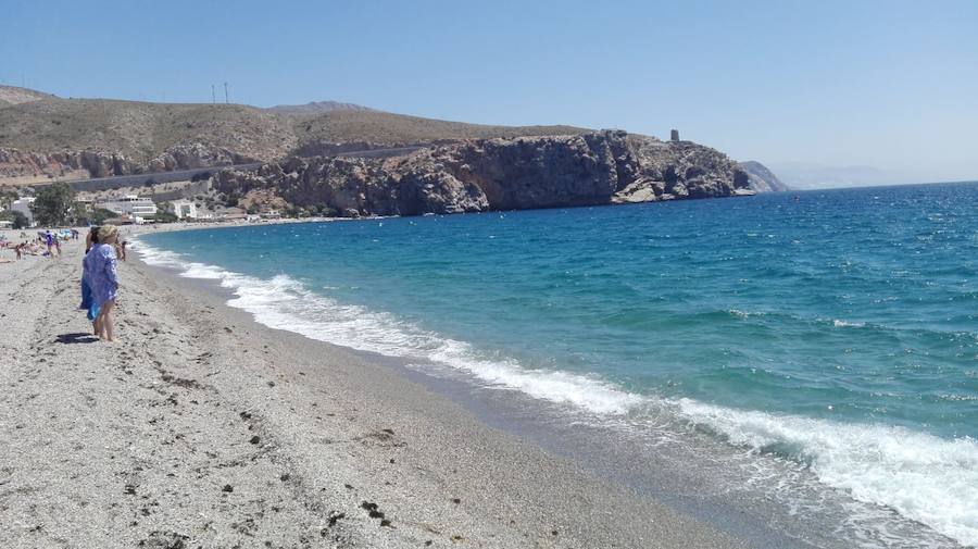 Nadie puede bañarse con tantos animales de este tipo en el agua