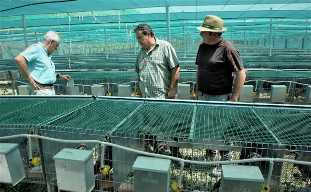 Expertos confirman que la granja de perdices de la Alpujarra es una de las mejores de España