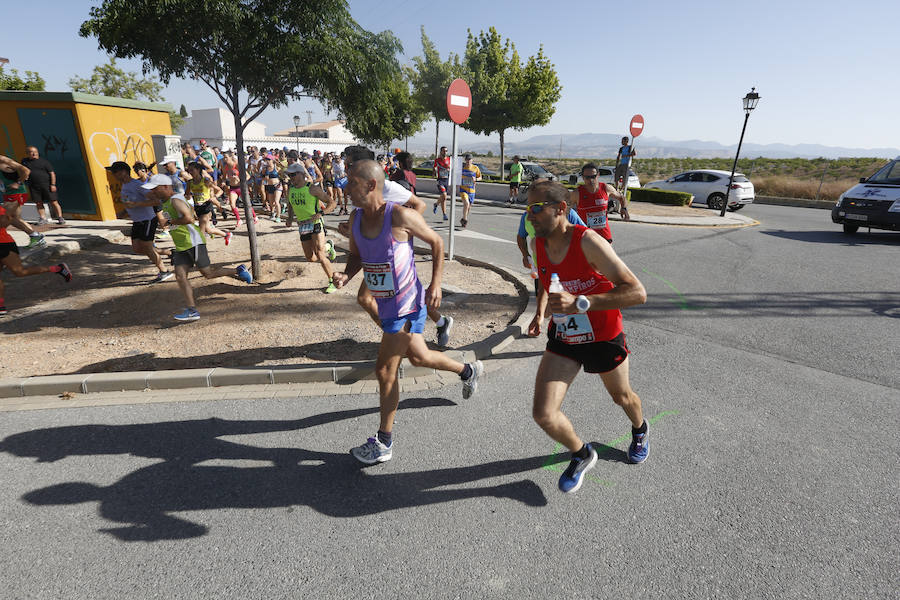 Juan Pérez y Petersson se llevan la victoria en Gójar, en una carrera que ha reunido a más de 700 corredores