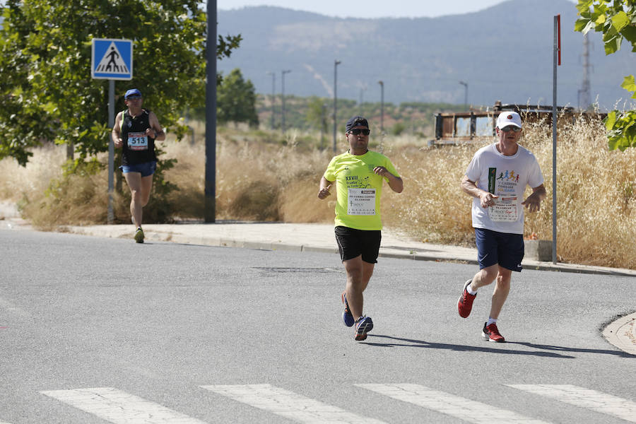 Juan Pérez y Petersson se llevan la victoria en Gójar, en una carrera que ha reunido a más de 700 corredores