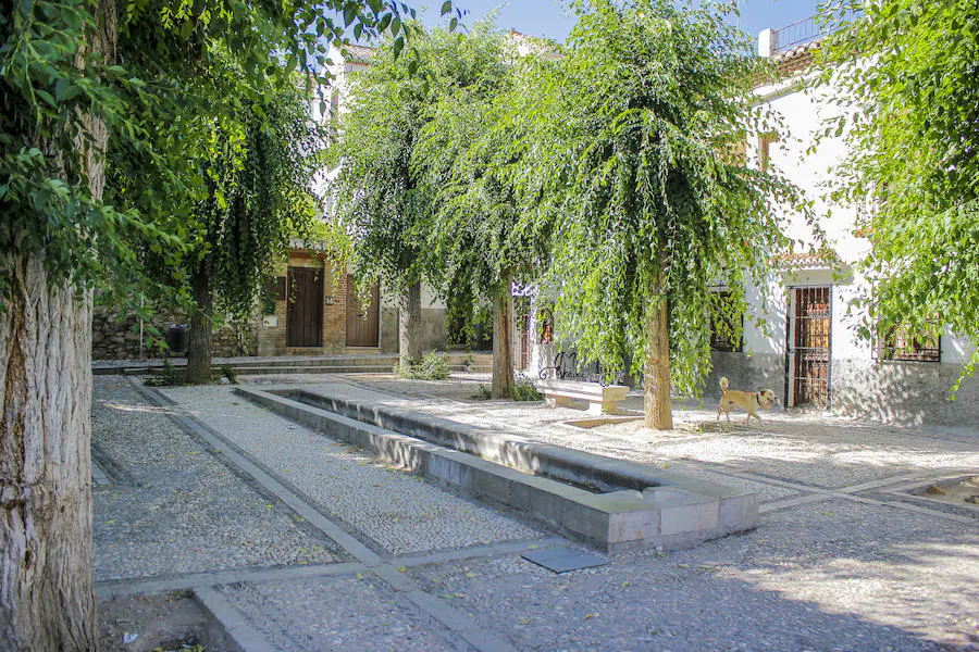 Por todos es conocida la belleza de Granada, sus fuentes, miradores y Cármenes, sus antiguos barrios como el Albaicín, considerado patrimonio de la humanidad, junto con la Alhambra y el Generalife. Además su maravilloso clima y diferentes propuestas paisajísticas, la hacen un lugar estupendo para visitar y, cómo no, para llevarte unas bonitas fotografías de los que tanto nos gusta compartir con nuestros amigos y familiares en las redes sociales. Pero entre tanta variedad, ¿qué lugares escogemos para que nuestros folowers se mueran de envidia?