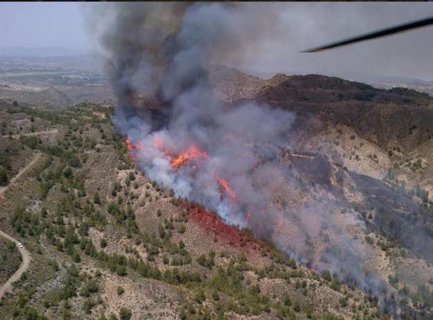 Incendio forestal en una zona de matorrales y árboles de Huércal Overa.