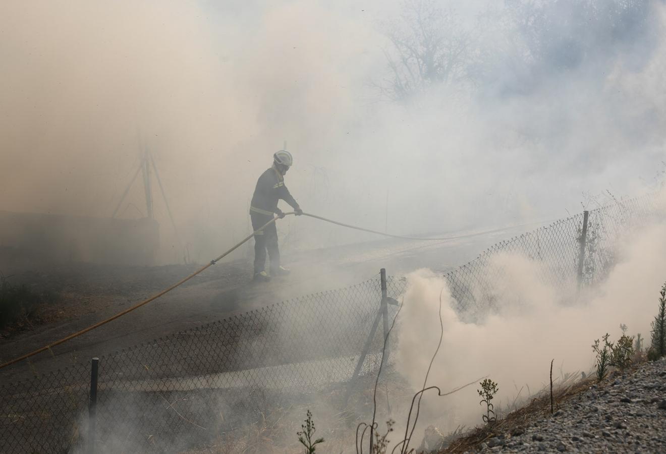 El fuego se ha producido cerca de la A-44 por lo que las llamas se han podido ver desde los vehículos que accedían o salían de la capital