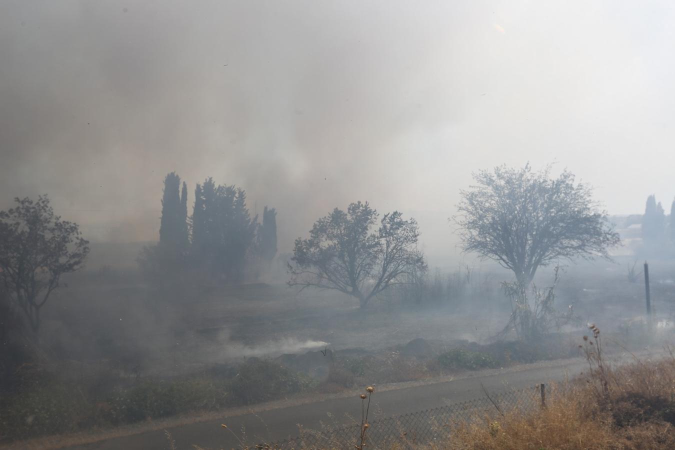 El fuego se ha producido cerca de la A-44 por lo que las llamas se han podido ver desde los vehículos que accedían o salían de la capital