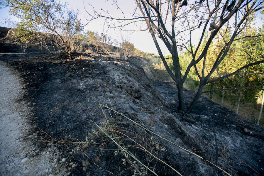 Un helicóptero, un vehículo autobomba y 7 bomberos forestales han actuado en la extinción del fuego