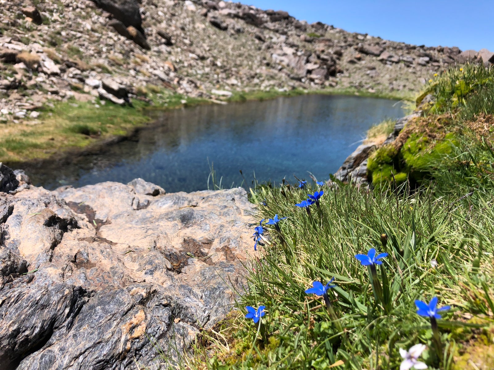 La gran acumulación de nieve durante el invierno ha producido uno de los espectáculos naturales más impresionantes de los últimos años en la gran montaña de Granada: la fusión de la nieve