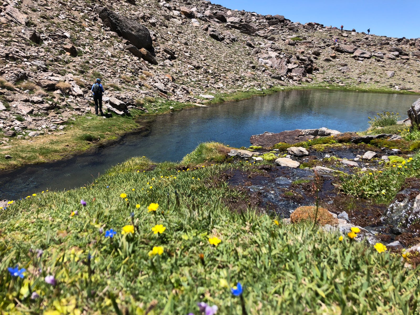 La gran acumulación de nieve durante el invierno ha producido uno de los espectáculos naturales más impresionantes de los últimos años en la gran montaña de Granada: la fusión de la nieve