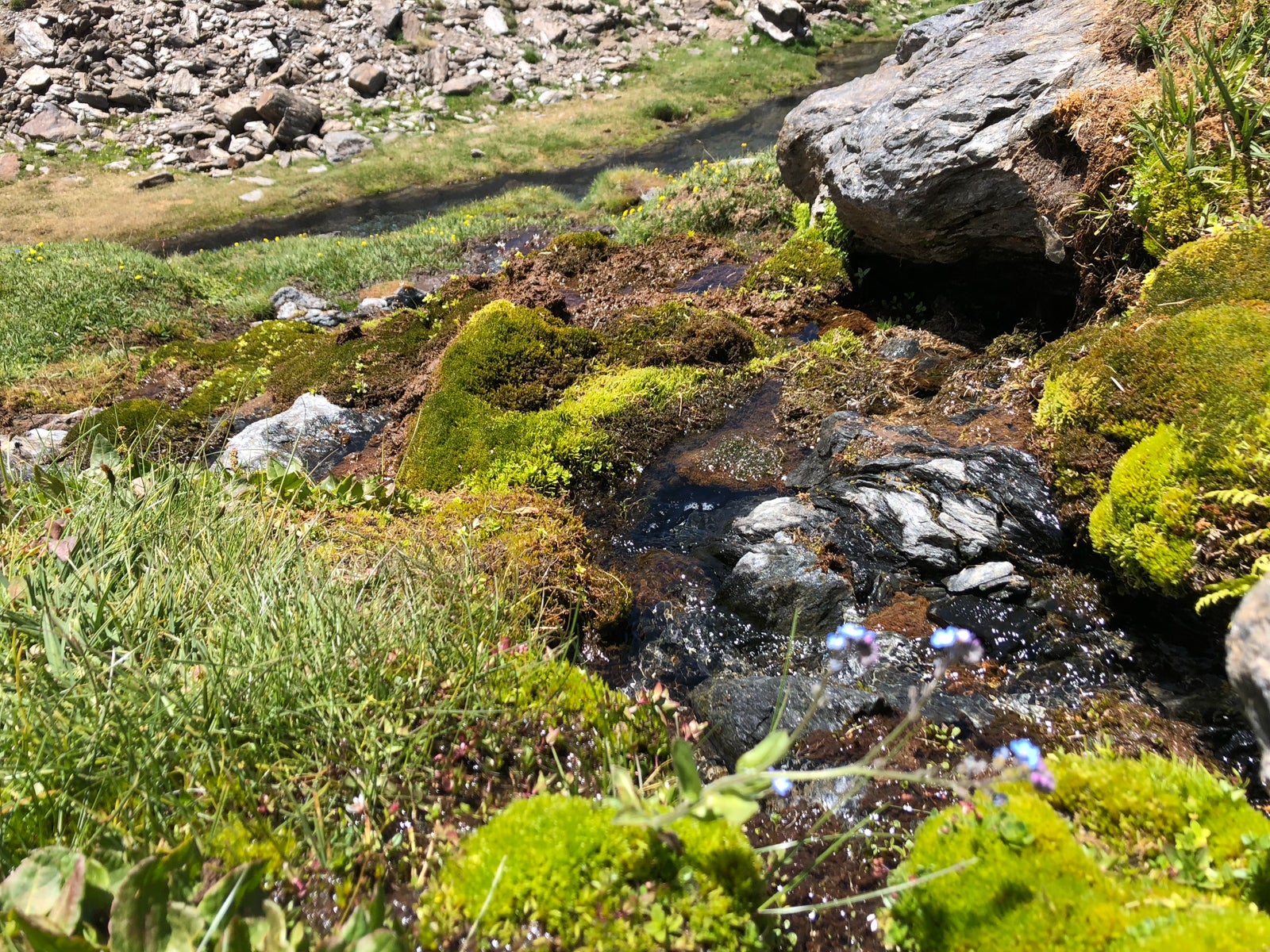 La gran acumulación de nieve durante el invierno ha producido uno de los espectáculos naturales más impresionantes de los últimos años en la gran montaña de Granada: la fusión de la nieve