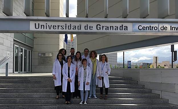 Los investigadores que han participado en este estudio. En la fila de abajo: Elena López Ruiz y Gema Jiménez González. En medio, Houria Boulaiz, Carmen Griñán-Lisón, Macarena Perán y Purificación Catalina. En la fila de arriba, María Ángel García, Michael Hackenberg y Juan Antonio Marchal.