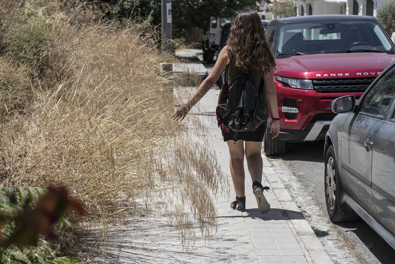 Unas personas que observaban el eclipse provocaron un fuego que quemó 200 metros de matojos en esa zona