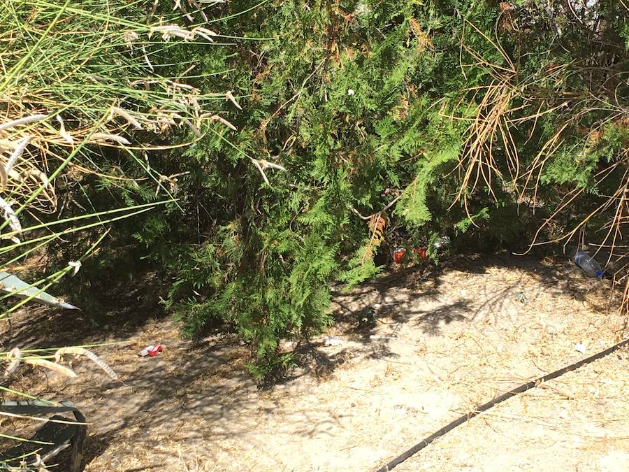 Las pintadas siguen ensuciando el barrio, pese a la disminución tras la puesta en funcionamiento de las cámaras de vigilancia. Los botellones ensucian algunos de los 'ángulos muertos' de este sistema.